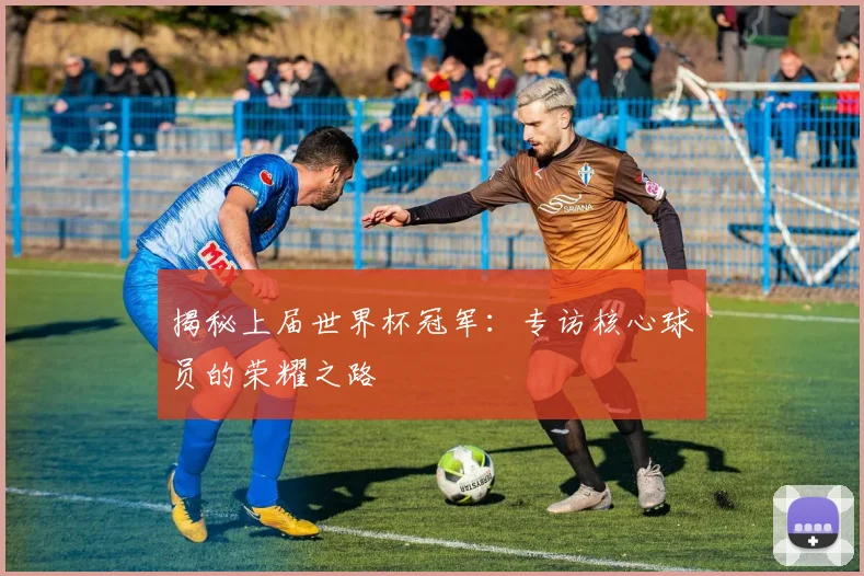 揭秘上届世界杯冠军：专访核心球员的荣耀之路