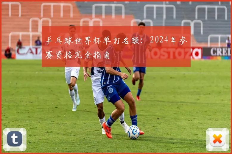 乒乓球世界杯单打名额：2024年参赛资格完全指南