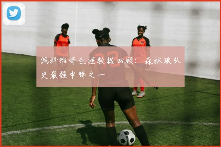 佩科维奇生涯数据回顾：森林狼队史最强中锋之一