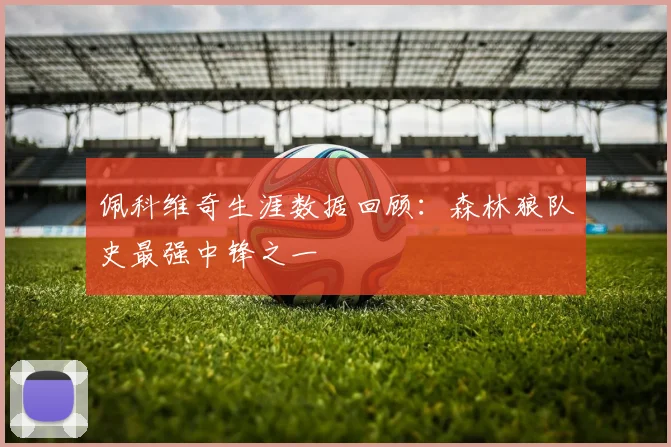 佩科维奇生涯数据回顾：森林狼队史最强中锋之一