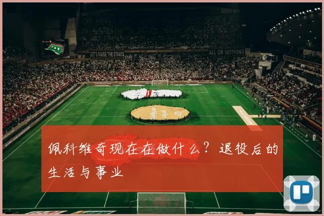 佩科维奇现在在做什么？退役后的生活与事业