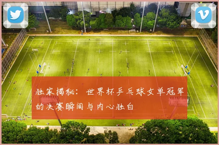 独家揭秘：世界杯乒乓球女单冠军的决赛瞬间与内心独白