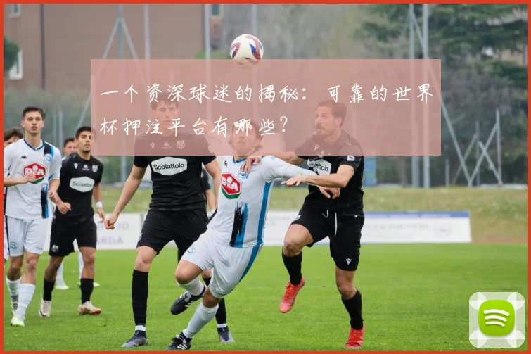 一个资深球迷的揭秘:可靠的世界杯押注平台有哪些?